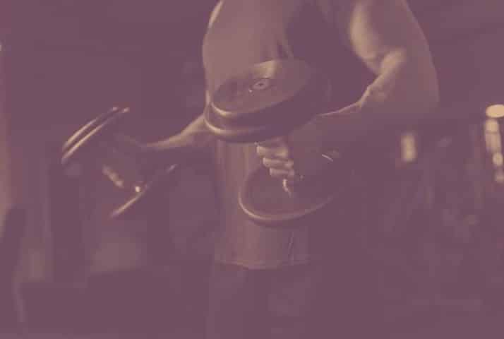 Upper body of a body builder holding dumbbells.