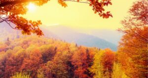Radiate authenticity by showing your true colors